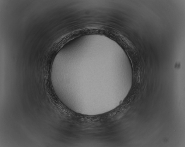 X0000089370821200707131635