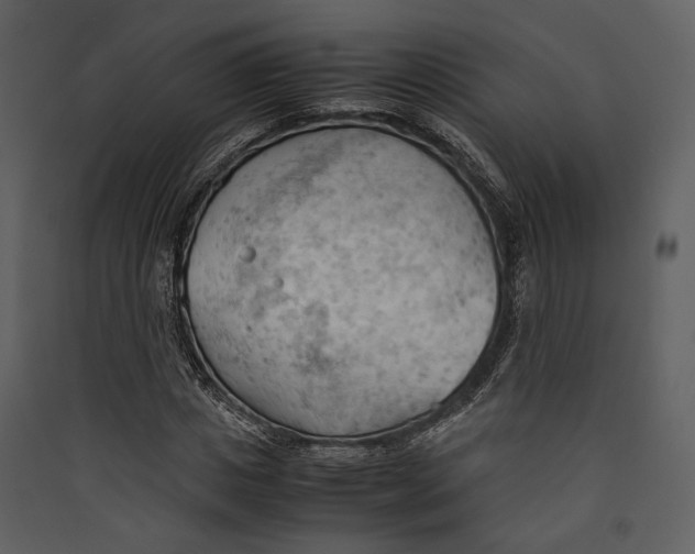 X0000089370825200707131635