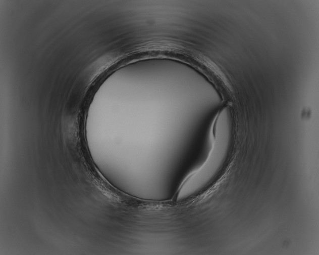 X0000089370826200707131635