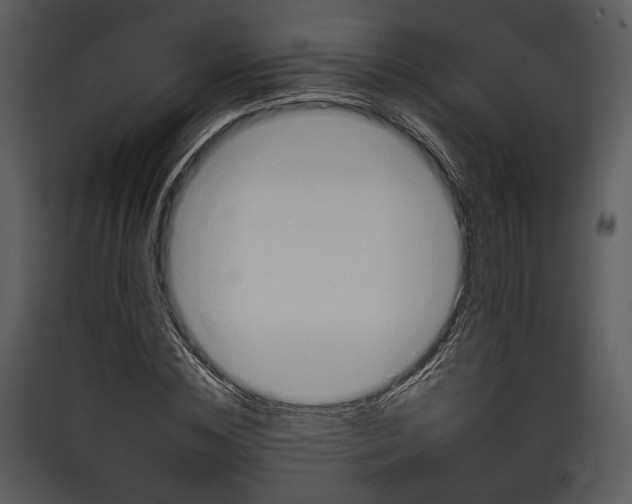 X0000089370828200707131635