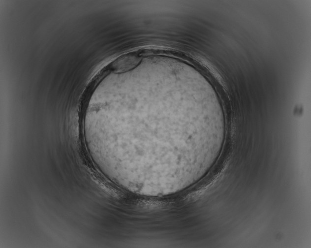 X0000089370829200707131635