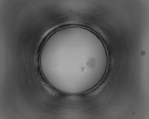 X0000089370830200707131635