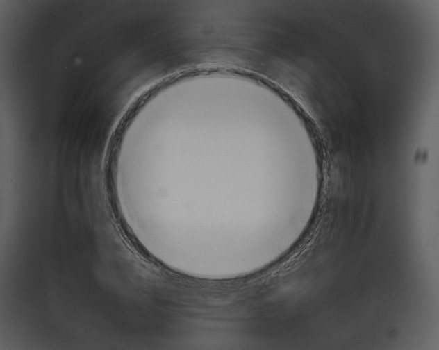 X0000089370832200707131635