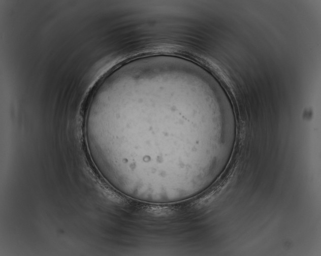 X0000089370835200707131635