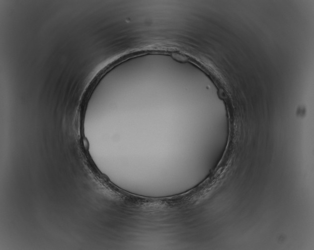 X0000089370838200707131635