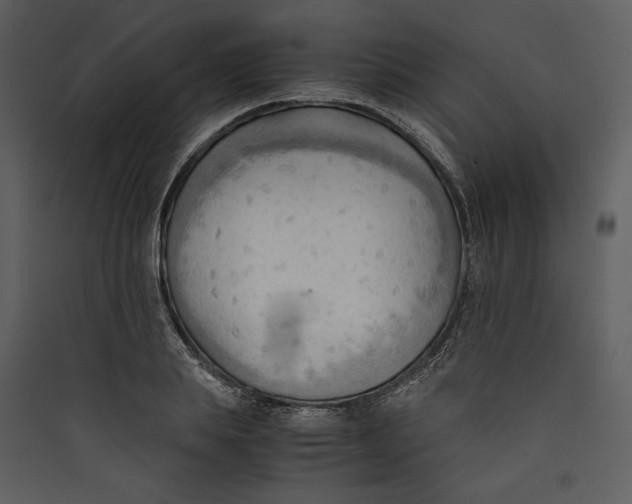 X0000089370839200707131635