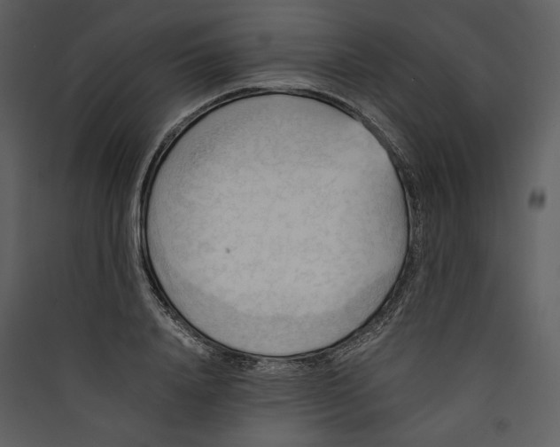 X0000089370840200707131635