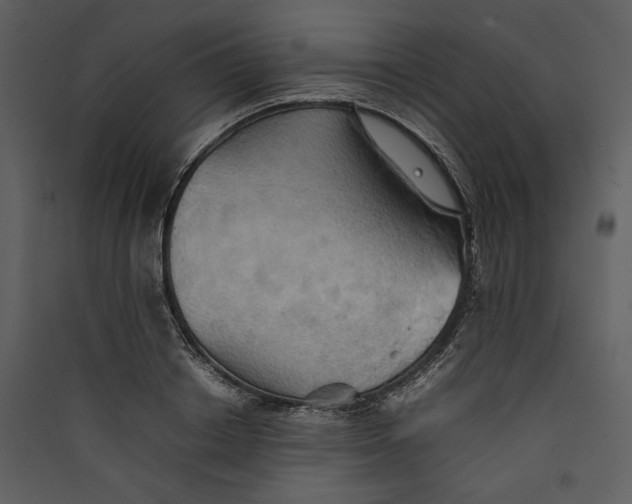 X0000089370842200707131635