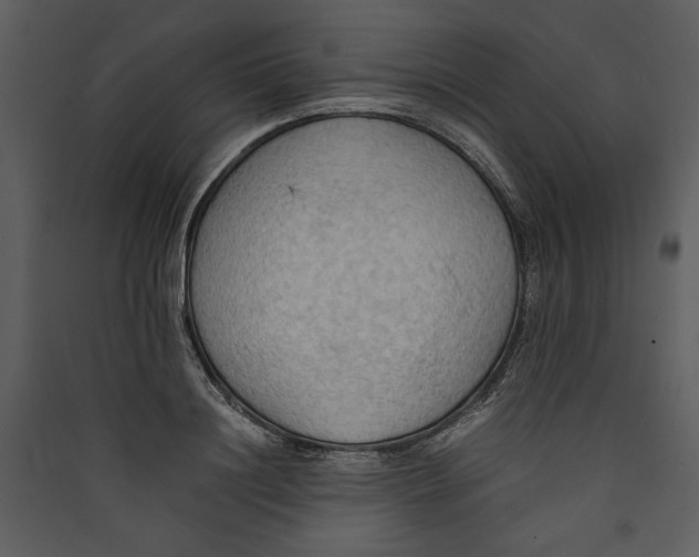 X0000089370844200707131635