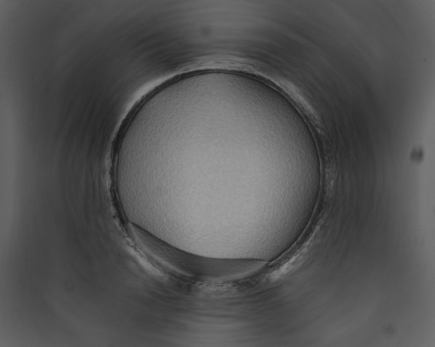 X0000089370846200707131635