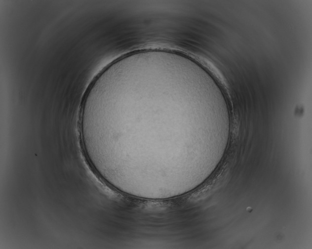 X0000089370847200707131635