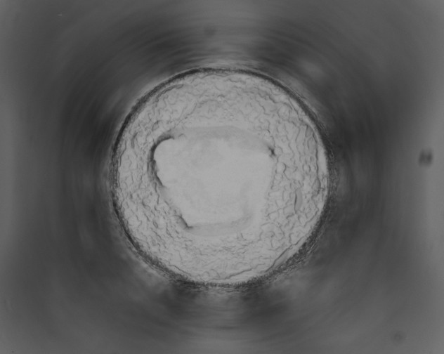 X0000089370848200707131635