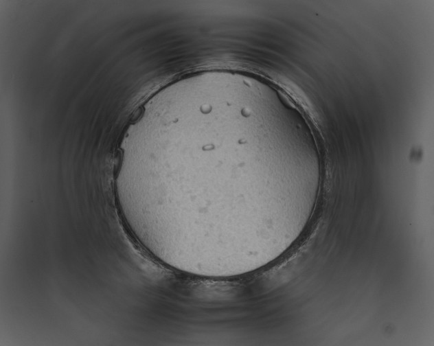 X0000089370849200707131635