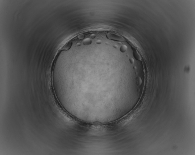 X0000089370850200707131635