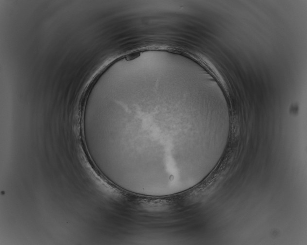 X0000089370851200707131635