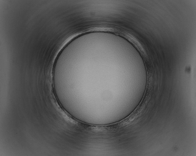 X0000089370852200707131635