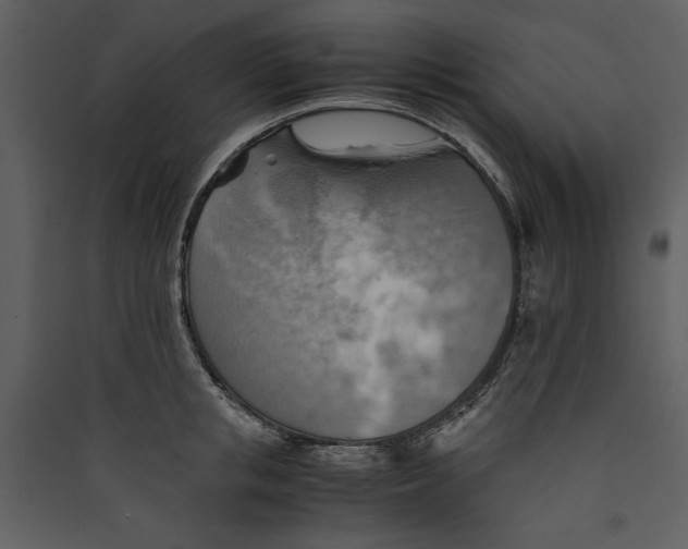 X0000089370853200707131635