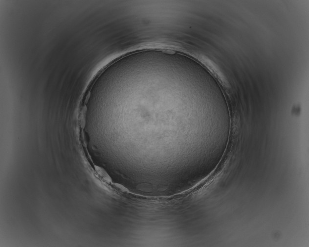 X0000089370854200707131635