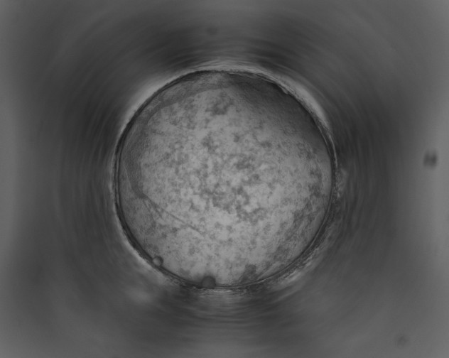 X0000089370855200707131635