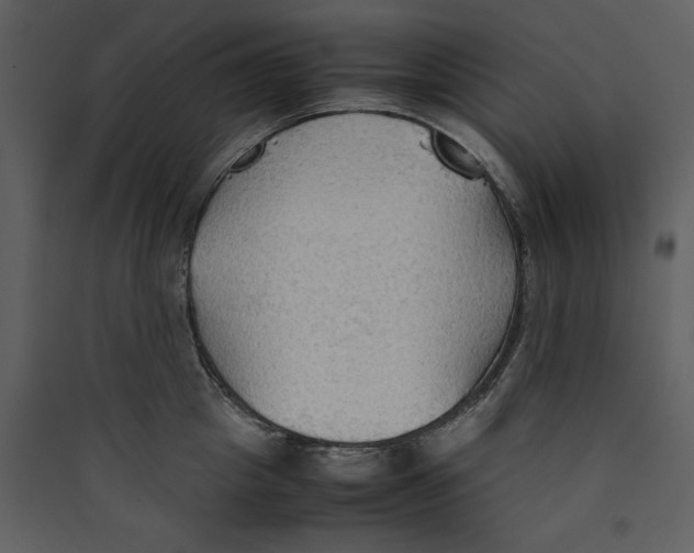 X0000089370857200707131635