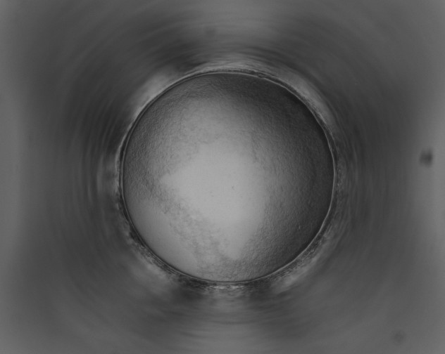 X0000089370858200707131635