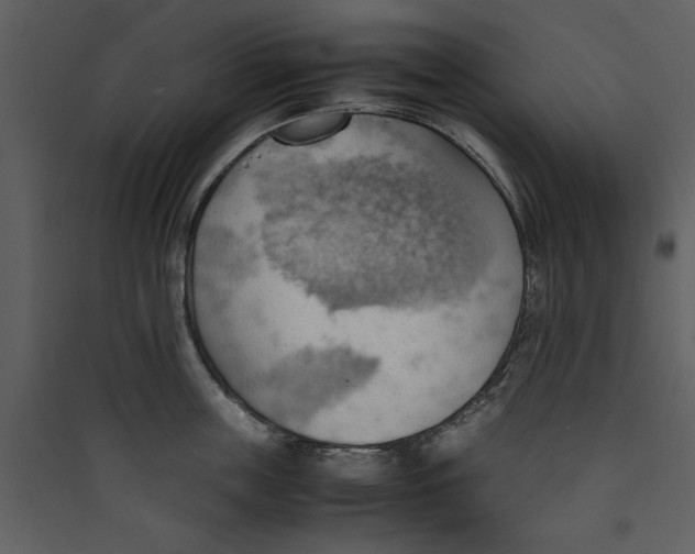 X0000089370859200707131635