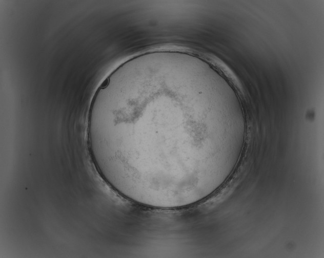 X0000089370860200707131635