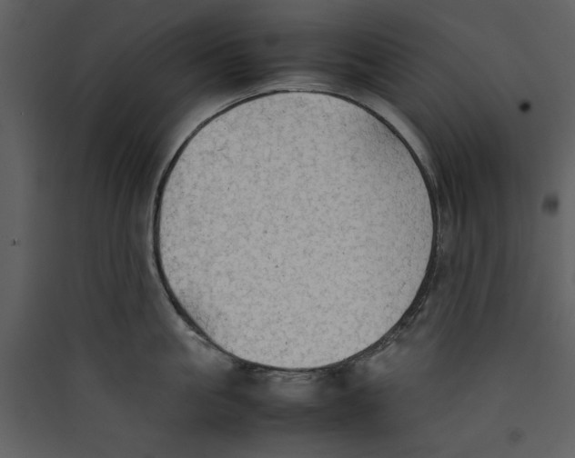 X0000089370861200707131635