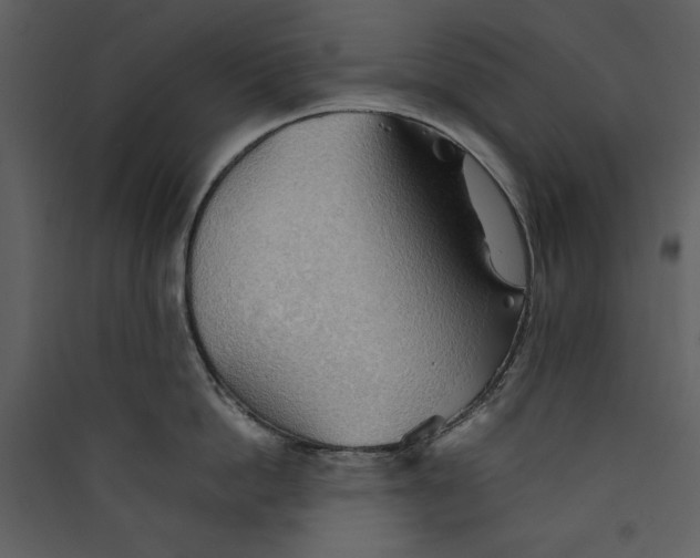 X0000089370862200707131635