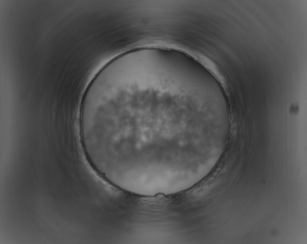 X0000089370863200707131635