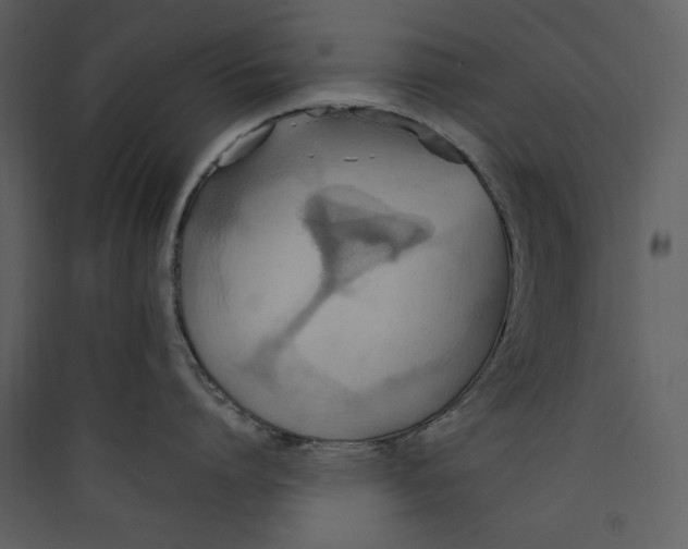 X0000089370864200707131635