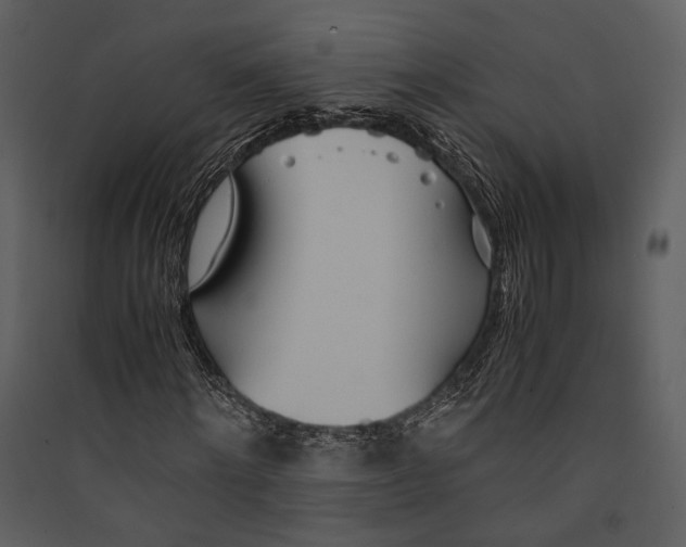 X0000089370868200707131635