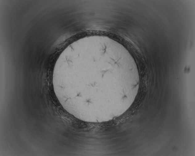 X0000089370870200707131635