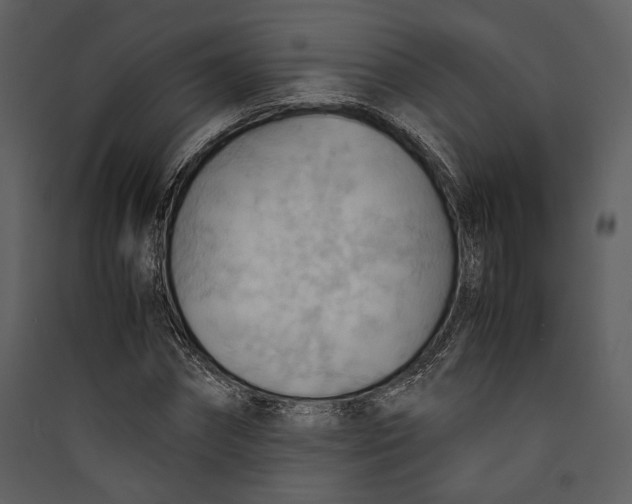 X0000089370874200707131635