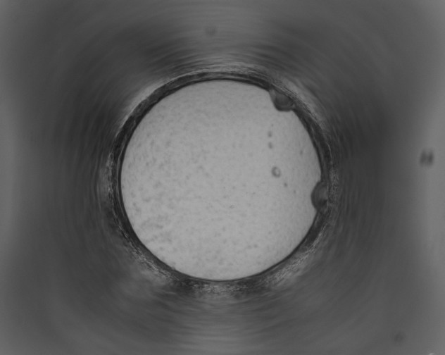 X0000089370875200707131635