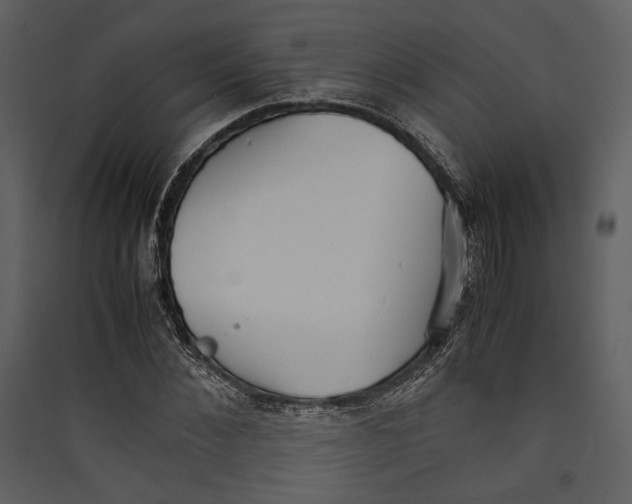 X0000089370876200707131635