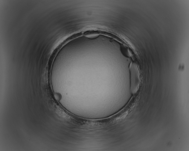 X0000089370877200707131635