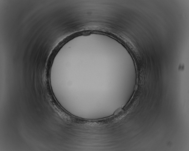 X0000089370880200707131635