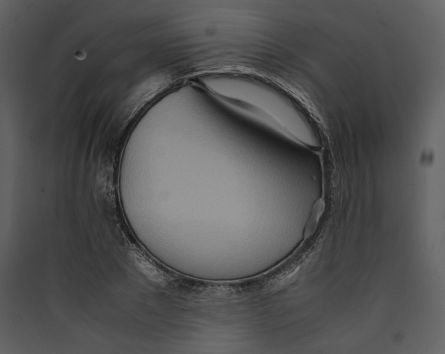 X0000089370881200707131635