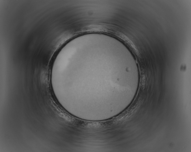 X0000089370882200707131635