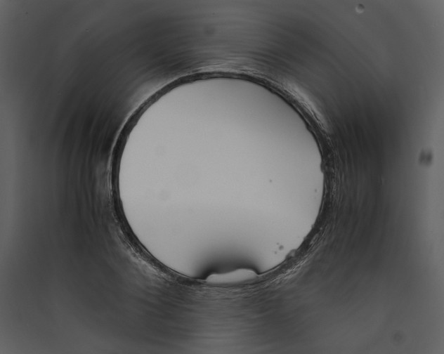 X0000089370884200707131635