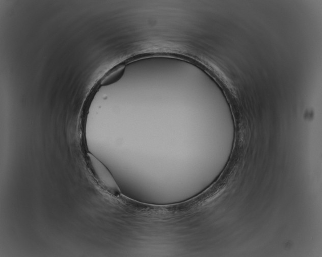 X0000089370885200707131635