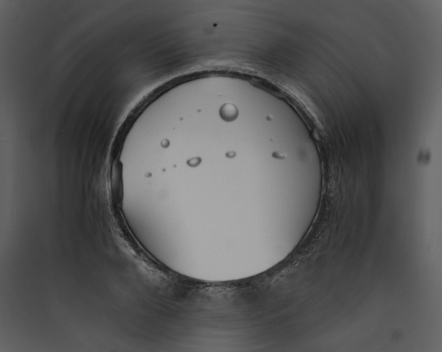 X0000089370888200707131634