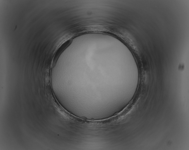 X0000089370889200707131634