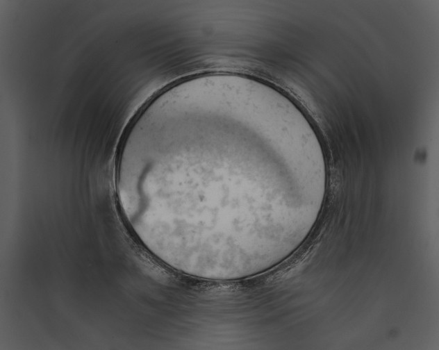 X0000089370891200707131634