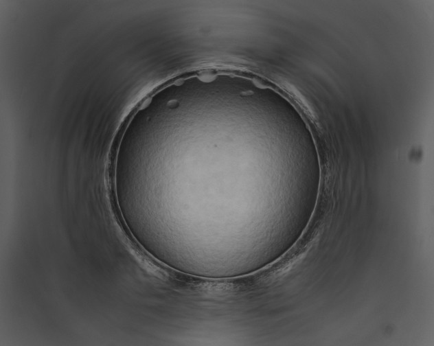 X0000089370893200707131634