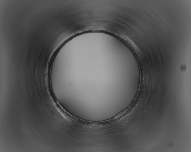 X0000089370894200707131634