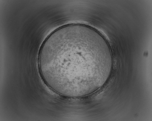 X0000089370895200707131634