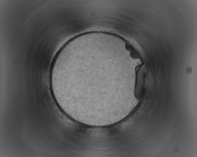 X0000089370896200707131634