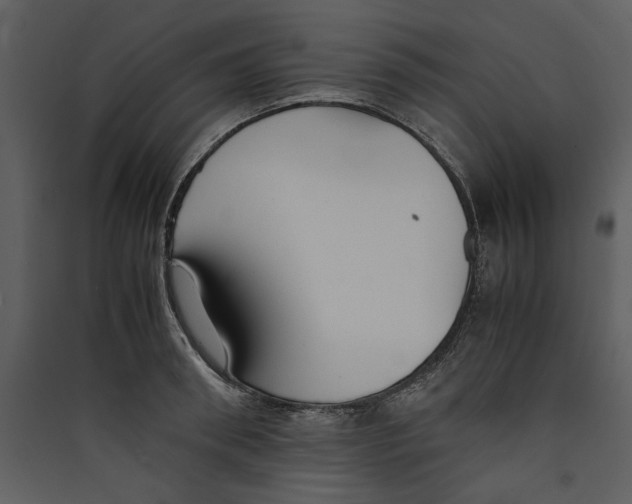 X0000089370898200707131634